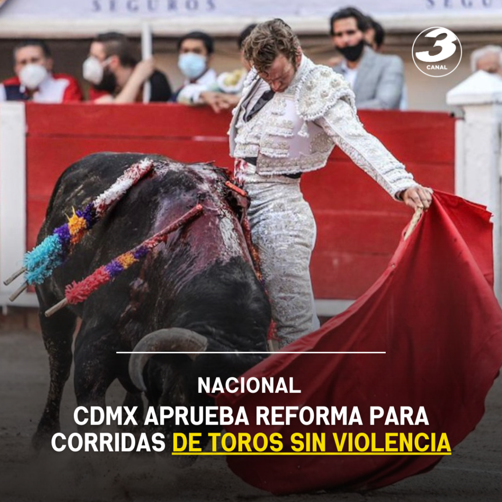 CDMX aprueba reforma para corridas de toros sin violencia - El Ahuizote