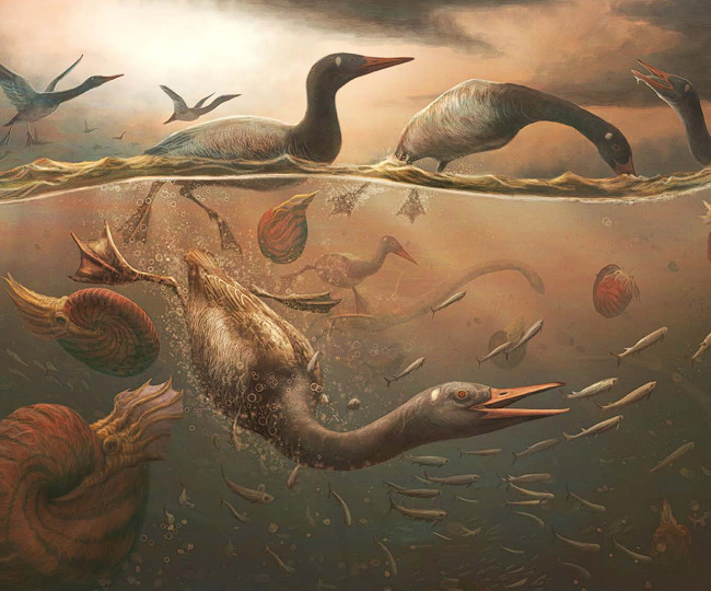 Una nueva ave del Cretácico antártico que cambia lo que creíamos del origen de las aves modernas