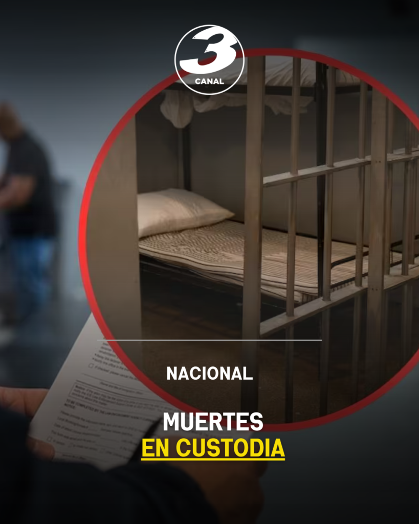 Muertes en custodia