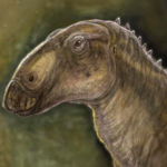 Kryptohadros: el hadrosaurio “oculto” de la isla perdida de Hațeg