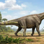 Dasosaurus tocantinensis: un saurópodo brasileño que reescribe rutas entre Europa y Gondwana