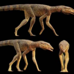 Galahadosuchus: un “cocodrilo” erguido entre grietas del tiempo