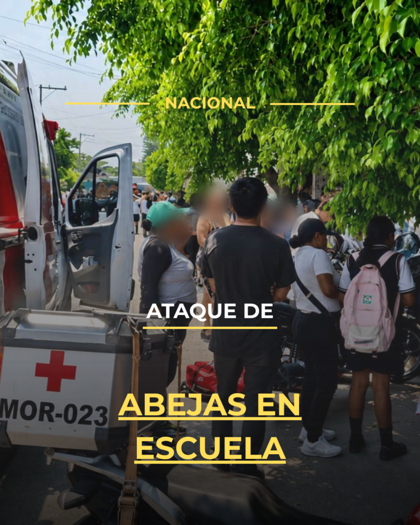 Ataque de abejas en escuela