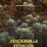 Plantas vencieron la extinción