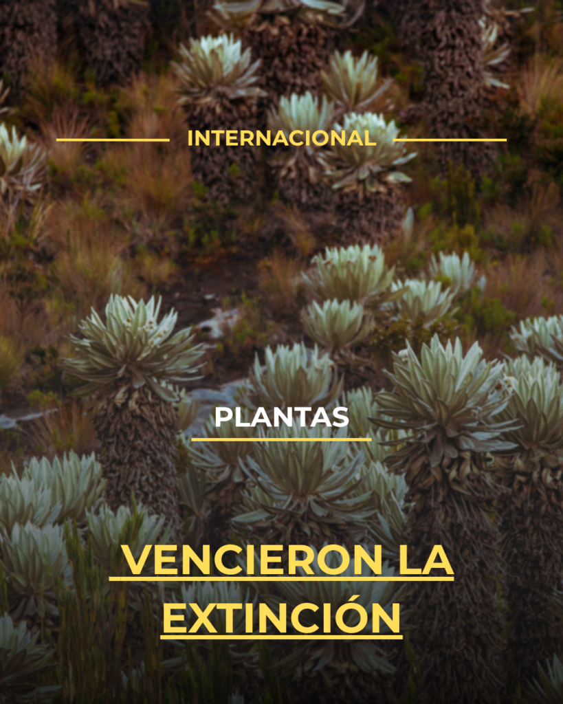 Plantas vencieron la extinción