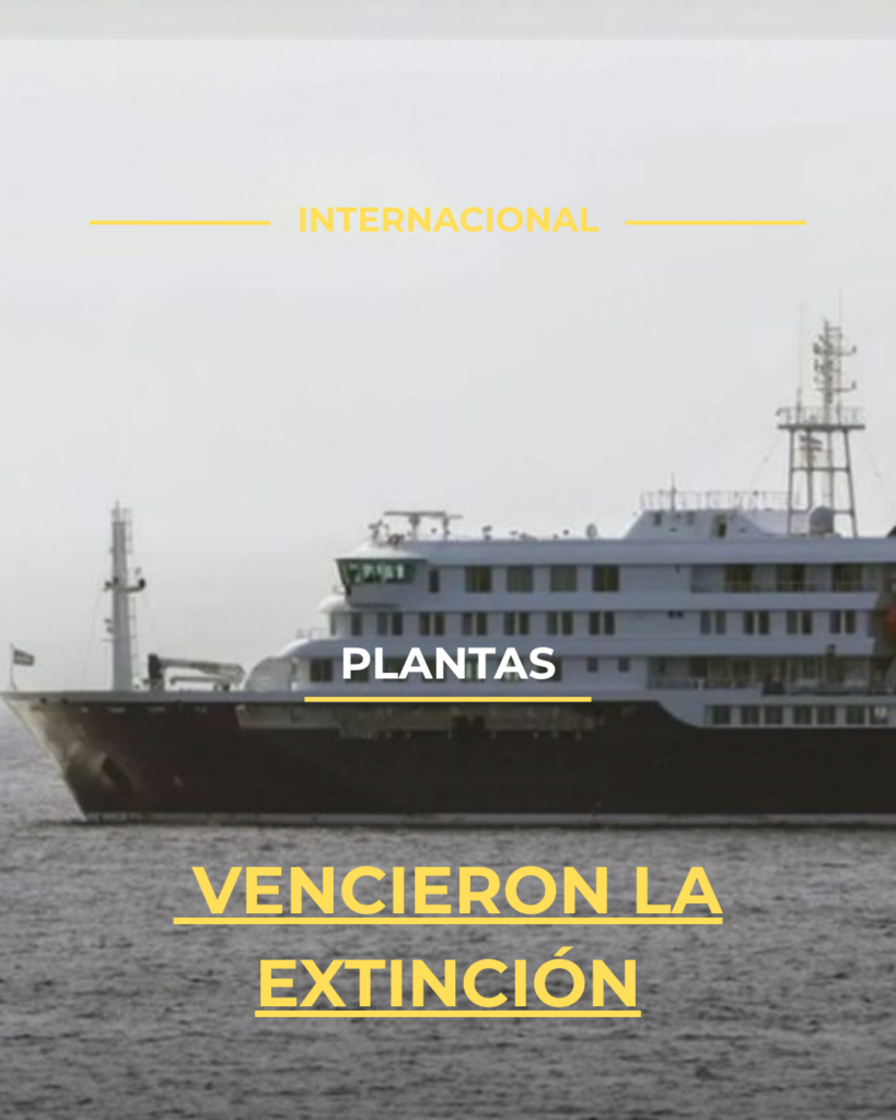 Aíslan a pasajeros por hantavirus