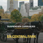 Suspenden carruajes en Central Park