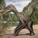 El “ala roja” de Alemania: un nuevo pterosaurio revela un extraño secreto del Jurásico