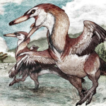 El ñandú de las estrellas: un nuevo dinosaurio corredor emerge de la Patagonia austral