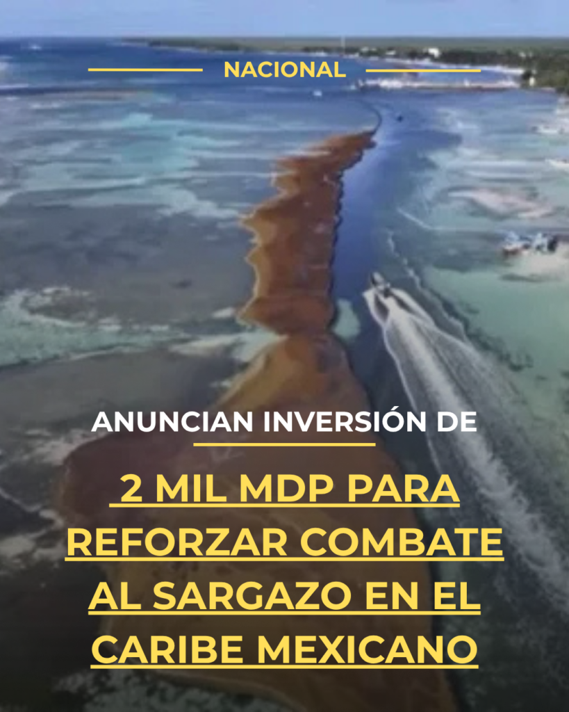 Anuncian inversión de 2 mil mdp para reforzar combate al sargazo en el Caribe mexicano