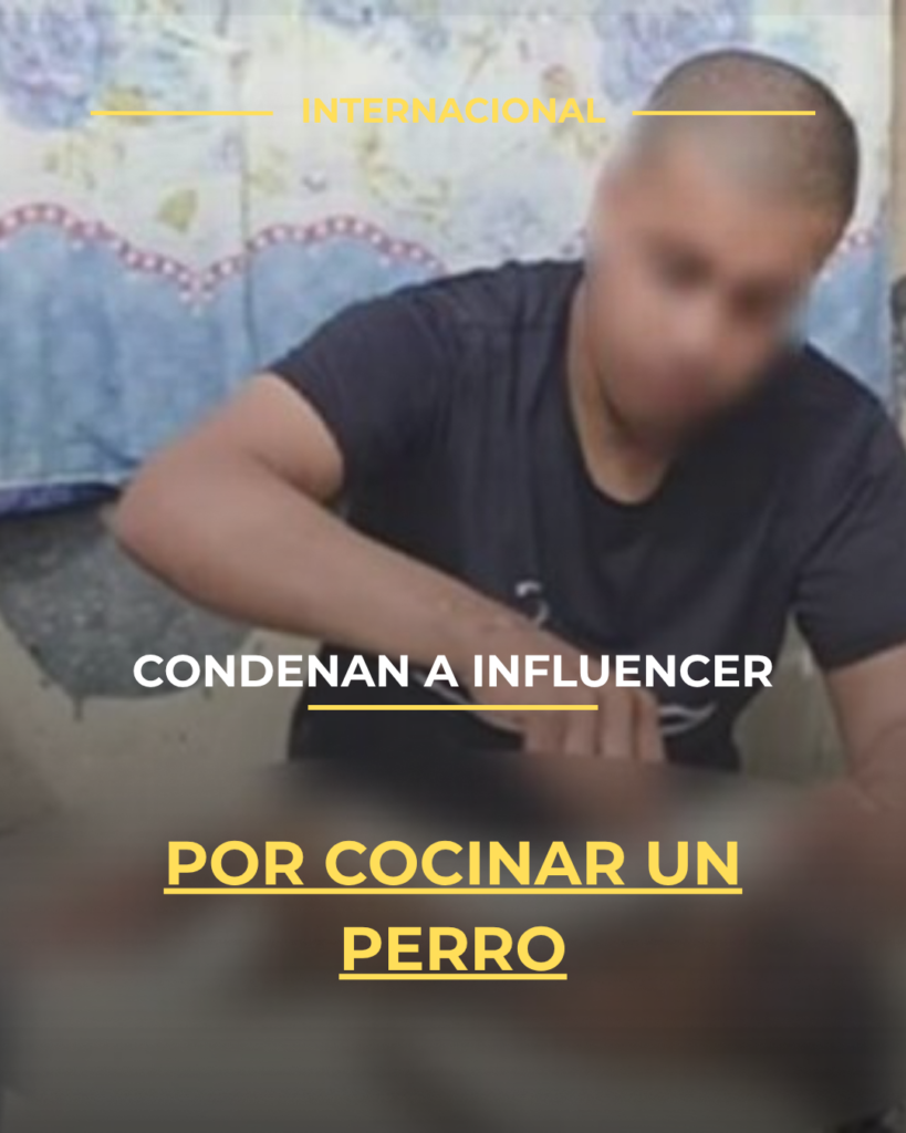 Condenan a influencer por cocinar un perro