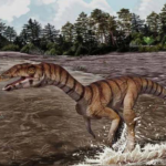 El cocodrilo de las brujas: un extraño reptil que parecía un dinosaurio