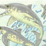 Los peces que escondían un secreto: cuando una especie resultó ser tres distintas