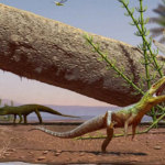 El reptil silencioso de Brasil: una nueva pieza en el origen de los dinosaurios y cocodrilos