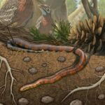La pequeña serpiente que cambió la historia del origen de estos reptiles