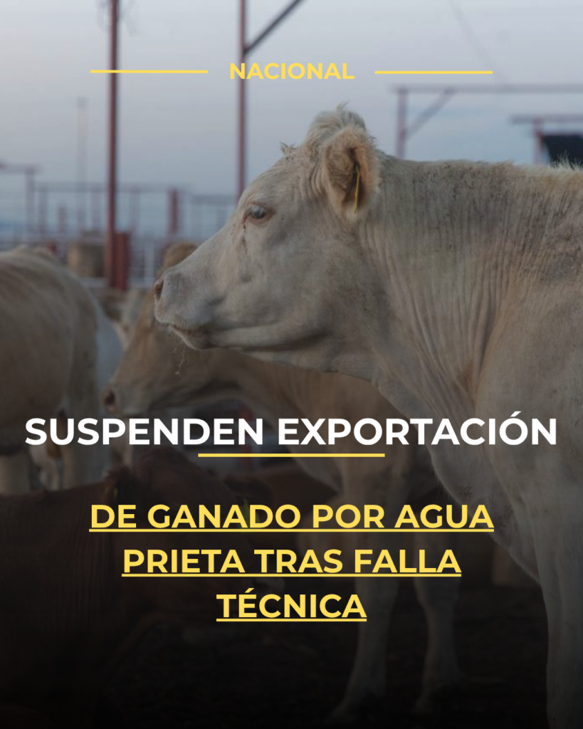 Suspenden exportación de ganado por Agua Prieta tras falla técnica