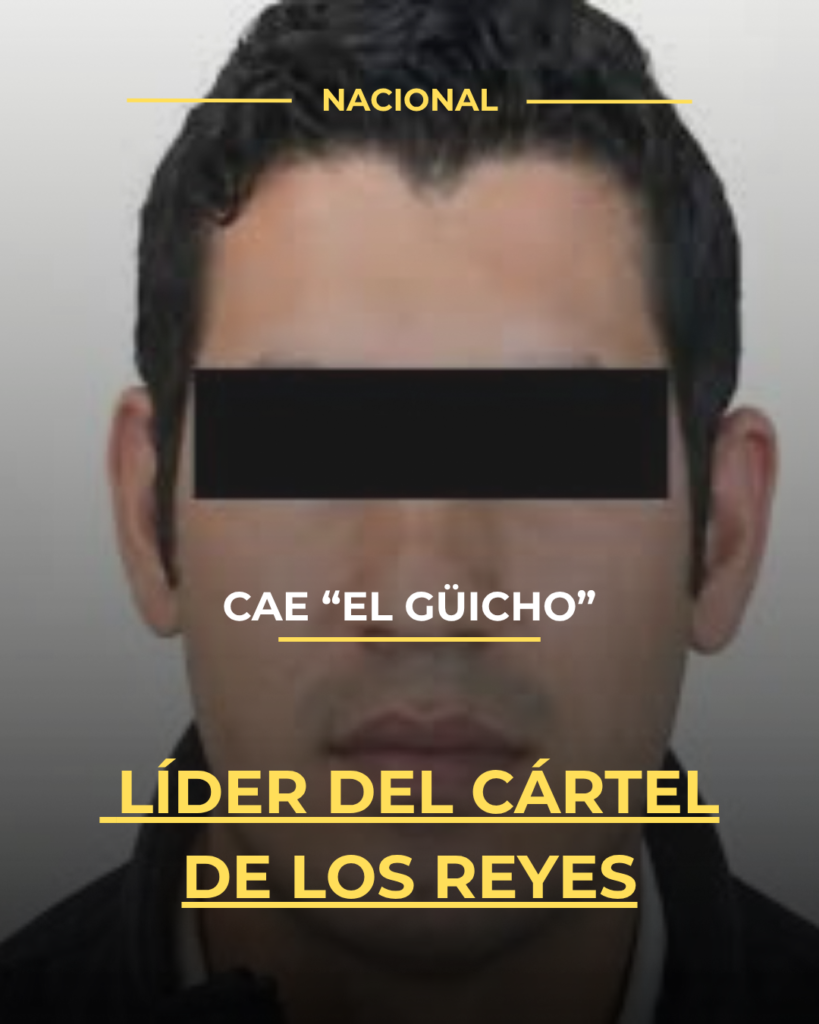 Cae “El Güicho”, líder del Cártel de Los Reyes, durante operativo federal en Michoacán