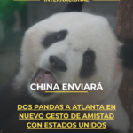 China enviará dos pandas a Atlanta en nuevo gesto de amistad con Estados Unidos