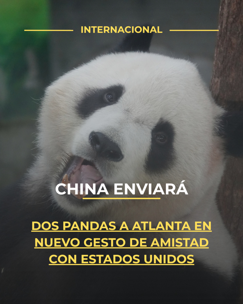 China enviará dos pandas a Atlanta en nuevo gesto de amistad con Estados Unidos