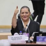 Renunciará Taddei al INE