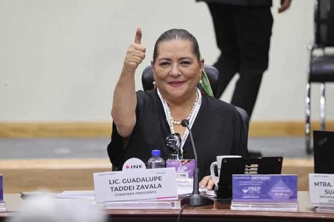 Renunciará Taddei al INE
